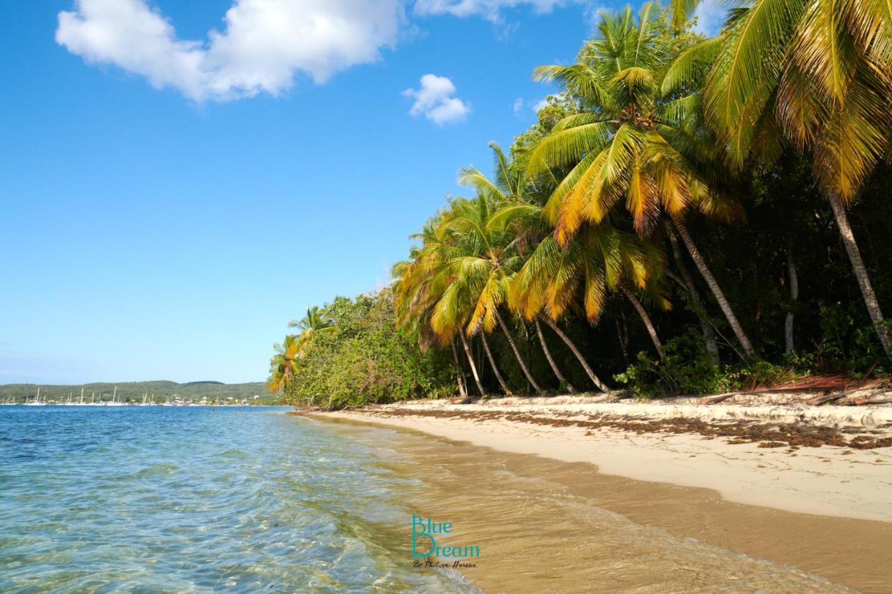 Kaz'Detente, Marie Galante, Plage Kawann Grand-Bourg  Exterior foto