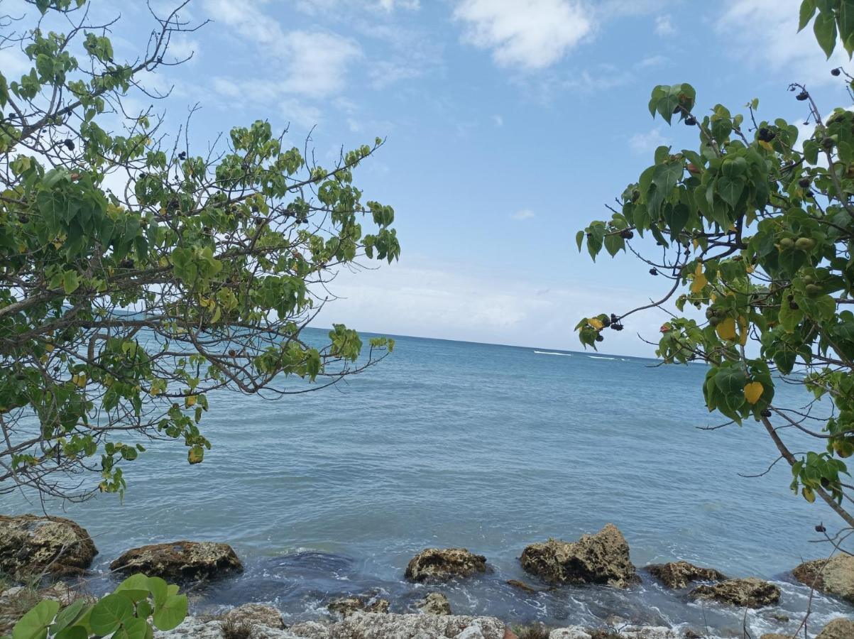 Kaz'Detente, Marie Galante, Plage Kawann Grand-Bourg  Exterior foto
