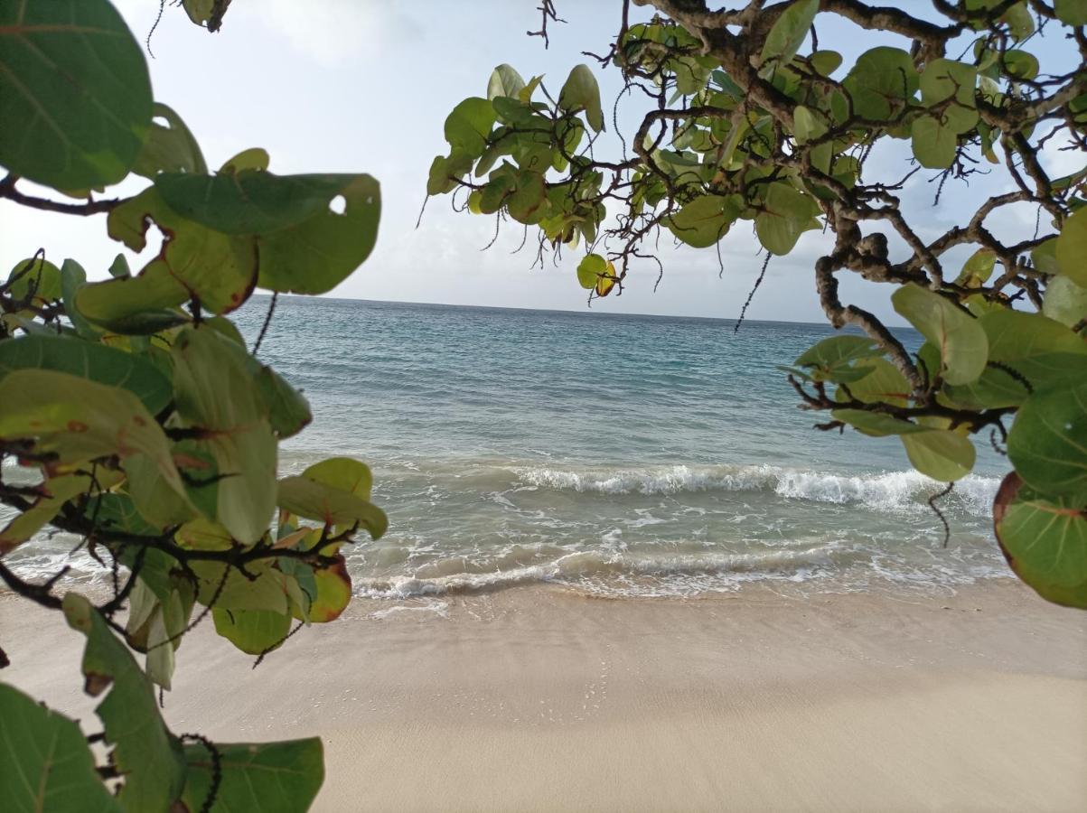 Kaz'Detente, Marie Galante, Plage Kawann Grand-Bourg  Exterior foto